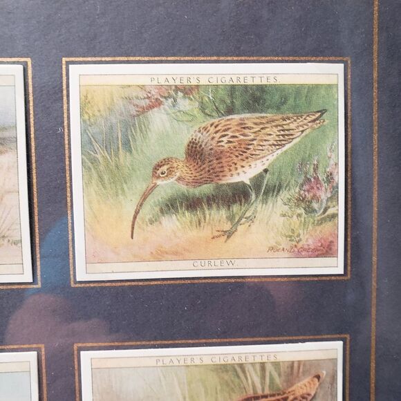 Players Cigarette Cards Game Birds & Water Fowl - Picture 4 of 11